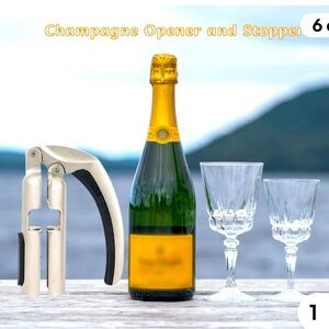 Champagne Bottle Opener, Portable Zinc Alloy Sparkling wine Opener